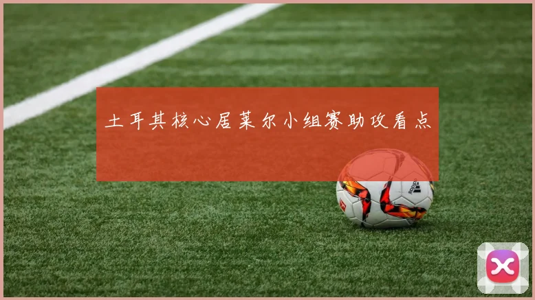土耳其核心居莱尔小组赛助攻看点