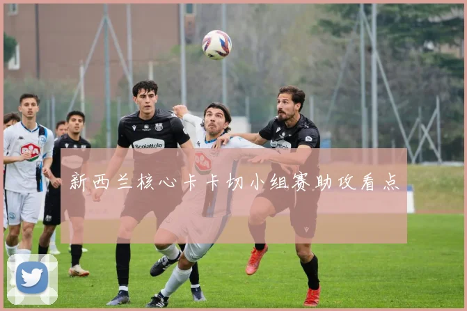 新西兰核心卡卡切小组赛助攻看点
