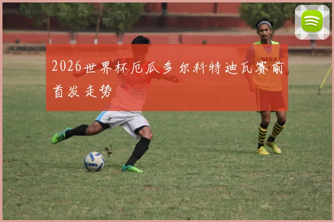 2026世界杯厄瓜多尔科特迪瓦赛前首发走势