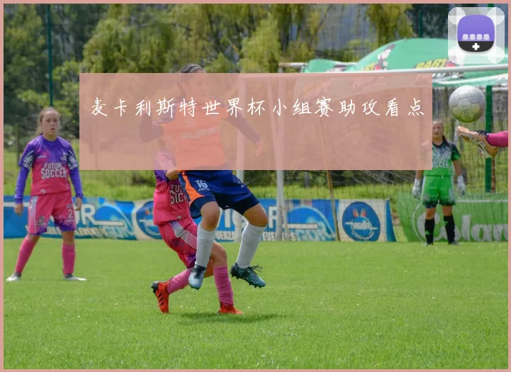 麦卡利斯特世界杯小组赛助攻看点