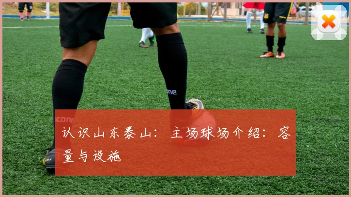 认识山东泰山：主场球场介绍：容量与设施