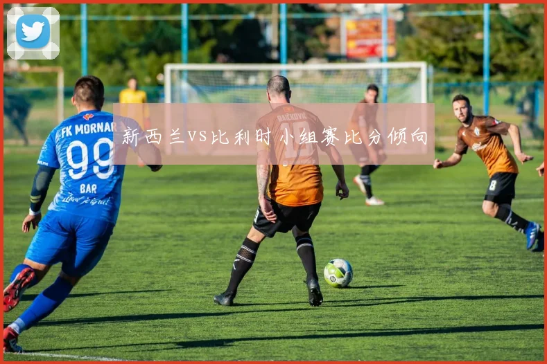 新西兰vs比利时小组赛比分倾向