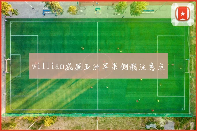 william威廉亚洲苹果侧载注意点
