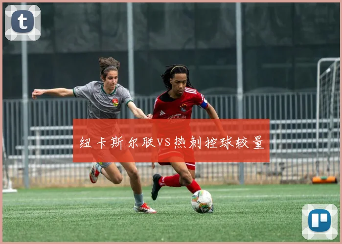 纽卡斯尔联vs热刺控球较量