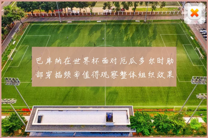 巴库纳在世界杯面对厄瓜多尔时肋部穿插频率值得观察整体组织效果