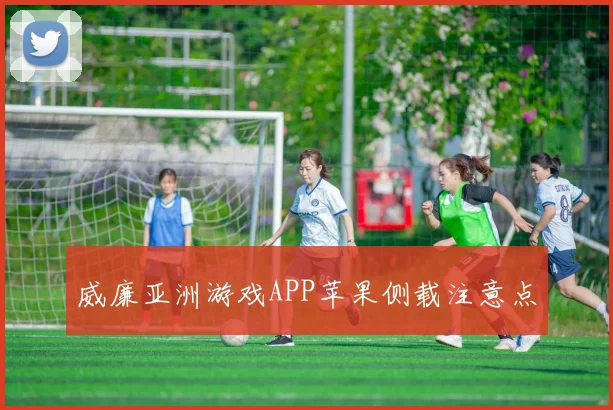 威廉亚洲游戏APP苹果侧载注意点