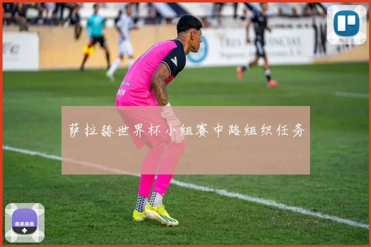 萨拉赫世界杯小组赛中路组织任务