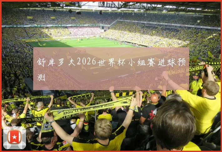 舒库罗夫2026世界杯小组赛进球预测