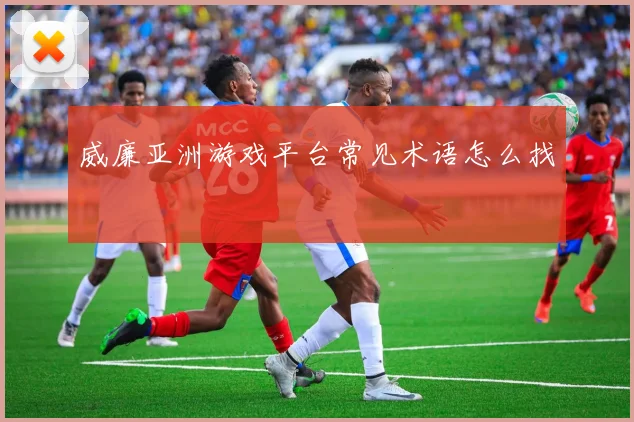 威廉亚洲游戏平台常见术语怎么找